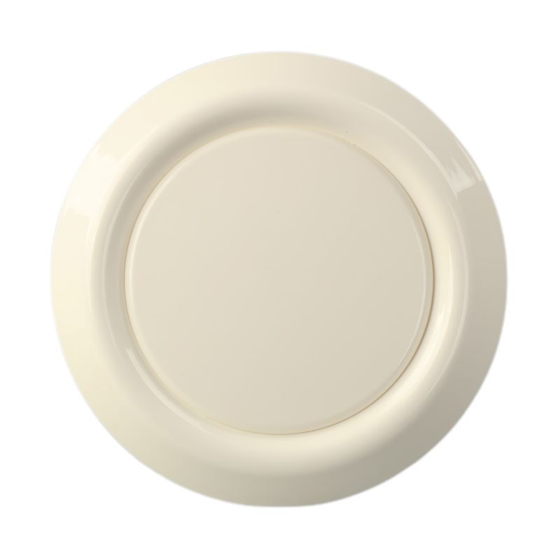 23-65 Plastic Disc Valve Op maat gemaakte ondersteuning voor optimale luchtventilatie in HVAC-systemen
